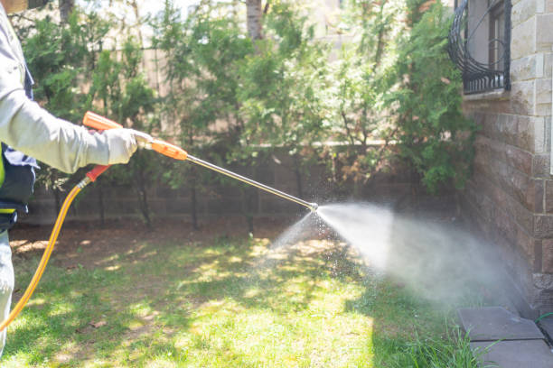 Best Lawn Pest Control  in Carrizo Hill, TX